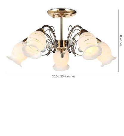 CURO - 5 Lights - Stello Light Studio